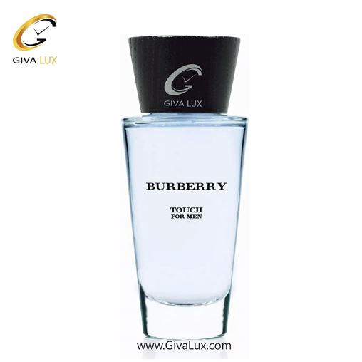   Burberry Touch For Men.jpg
